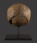 European Renaissance Period Human Skull