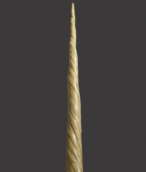 Narwhal Tusk, ‘Monondon Monoceros’