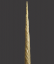 Narwhal Tusk, ‘Monondon Monoceros’