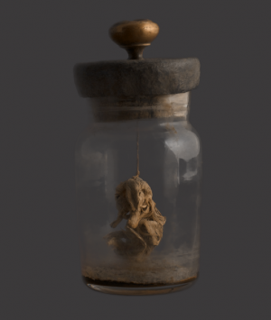 Preserved Polycephalic Duckling