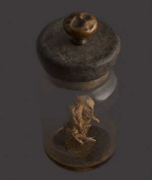 Preserved Polycephalic Duckling