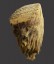 British Woolly Mammoth Tooth, ‘Mammuthus Primigenius’