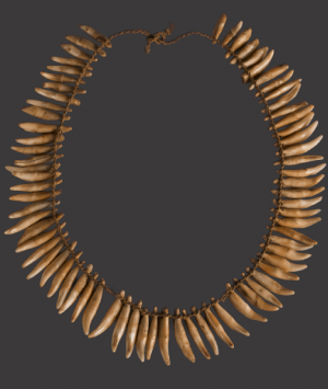 Hawaiian Dog Tooth Necklace, ‘Lei Niho ‘Ilio’