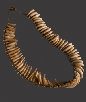 Hawaiian Dog Tooth Necklace, ‘Lei Niho ‘Ilio’