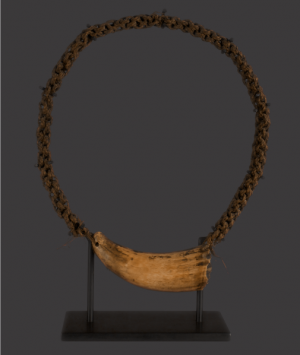 Fijian Ceremonial Whale Tooth, ‘Tabua’