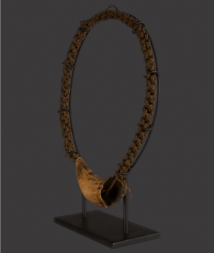 Fijian Ceremonial Whale Tooth, ‘Tabua’