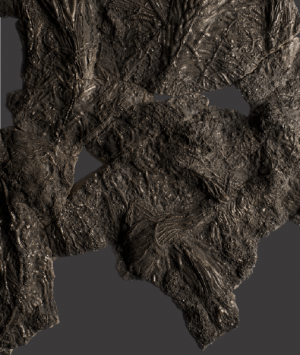 British Fossilised Crinoid, ‘Pentacrinites’