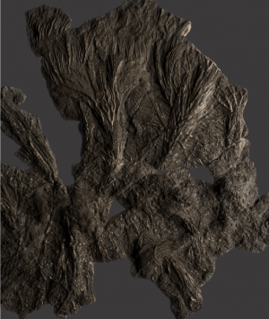 British Fossilised Crinoid, ‘Pentacrinites’