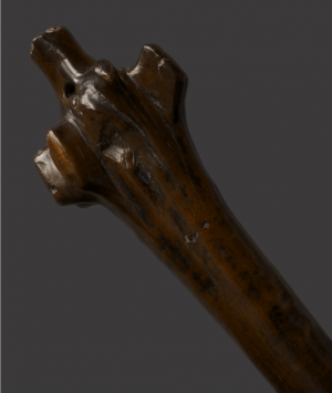 Fijian Rootstock Club, ‘Waka’