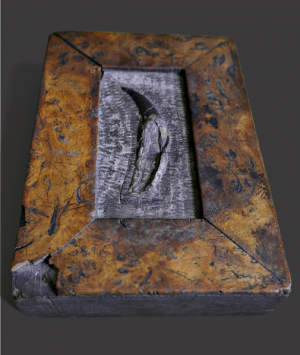 Fossil Plesiosaurus Tooth